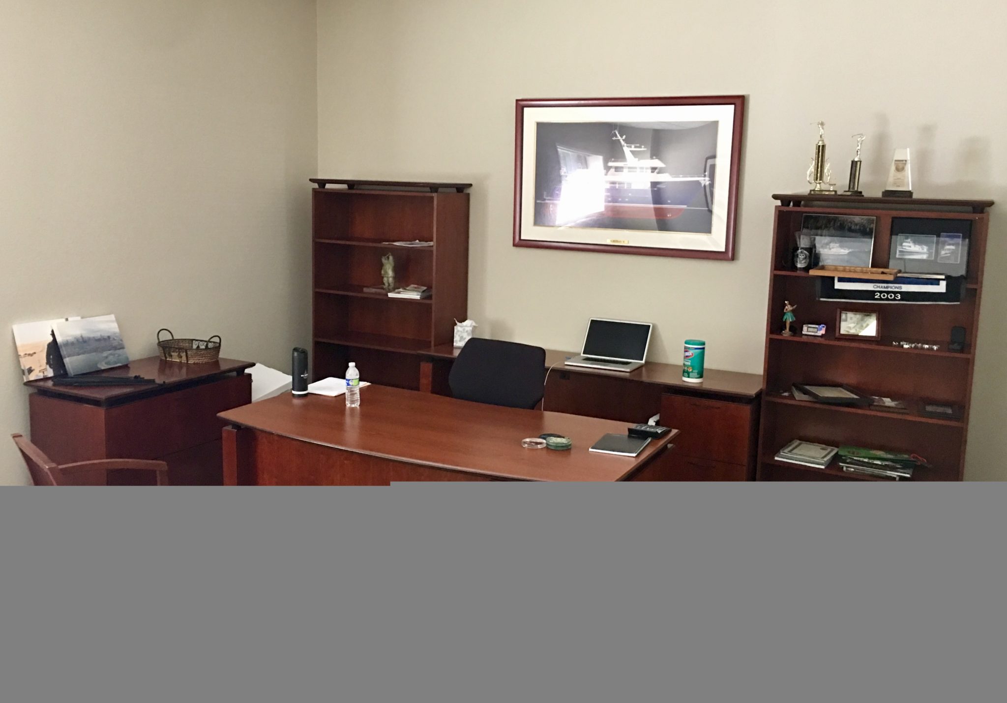 Desk, Credenza, File, Bookcases and Guest Chairs